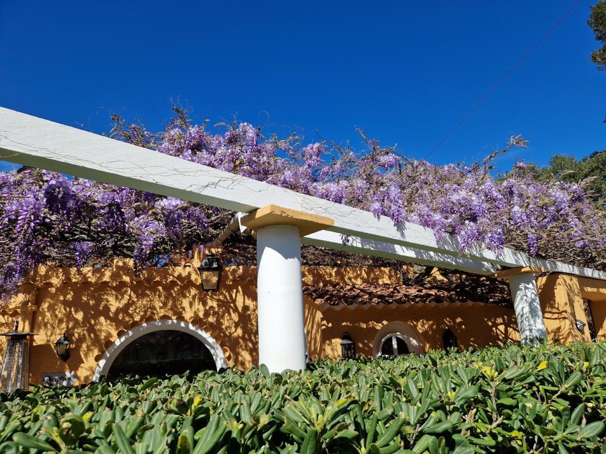 Le Cosy Hotel Сен-Агулф Екстериор снимка